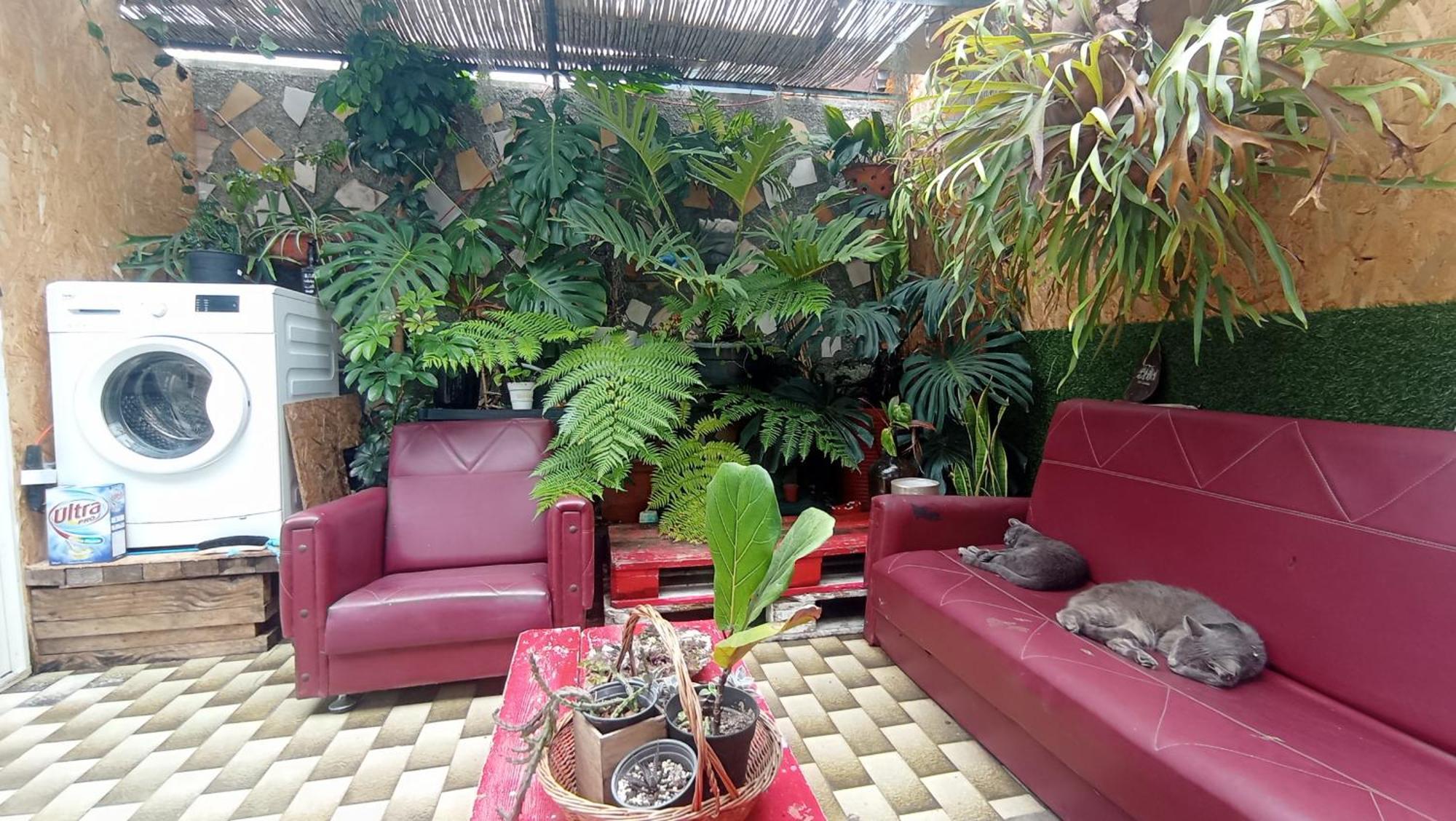 Kanela Guest House มาชิโก ภายนอก รูปภาพ